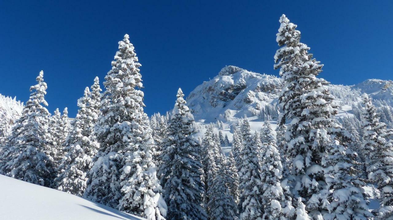 Am Gehren - Arlberg Appartements Warth  Kültér fotó